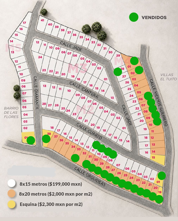 Master Plan de Fraccionamiento El Pedregal